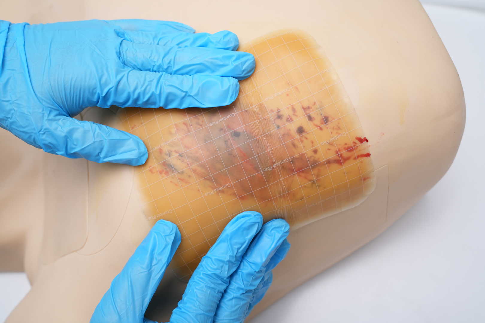 Pneumothorax & Chest Drain Model